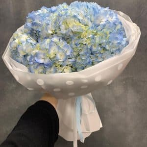 9 гортензий — купить с доставкой цветов в Самаре